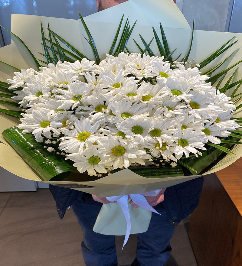 Balçova Beyaz Papatya