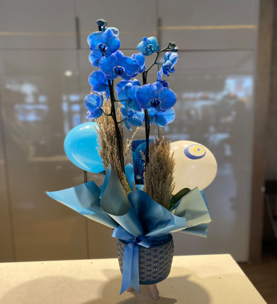 Güzelbahçe Mavi Orkide