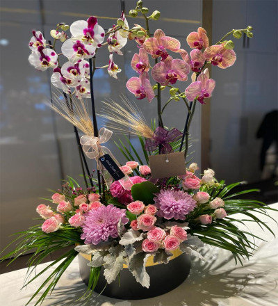 Renkli Orkide Aranjmanı